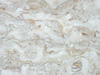 marble 19