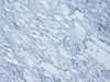 marble 23