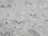 marble 76