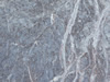 marble 94