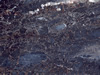 marble 95