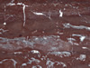 marble 103