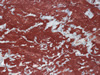 marble 104