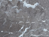 marble 107