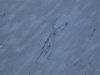 marble 118