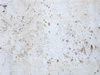 marble 132