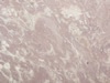 marble 137