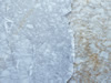 marble 139