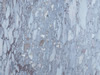 marble 140