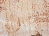 marble 146