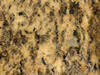 Textures-A 241