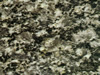 Textures-A 263