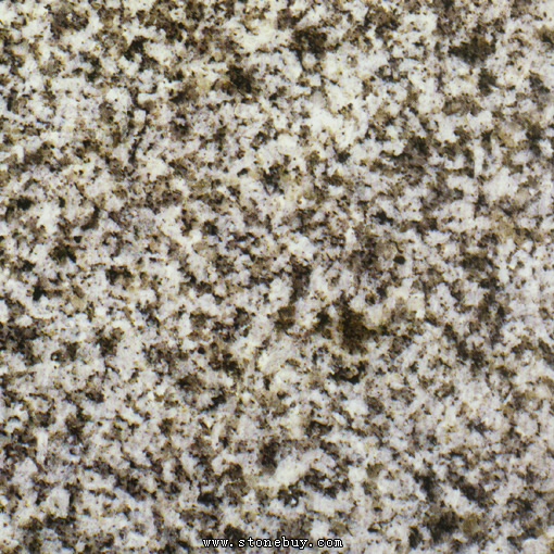 Textures-A 321