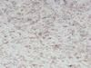Textures-A 340