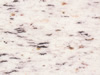 Textures-A 341