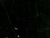 Textures-A 343