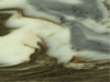 Textures-A 346