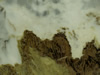 Textures-A 366