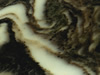 Textures-A 369