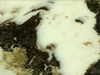 Textures-A 370