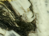 Textures-A 371
