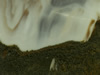 Textures-A 374