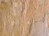 Textures 129