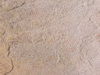 Textures 144