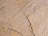 Textures 146
