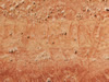 Textures 148