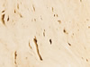 Textures 151