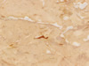Textures 154