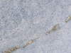 Textures 169