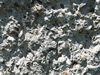 Textures 193