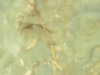 Textures 202
