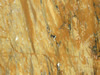 Textures 208