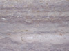 Textures 230