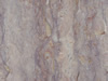 Textures 231